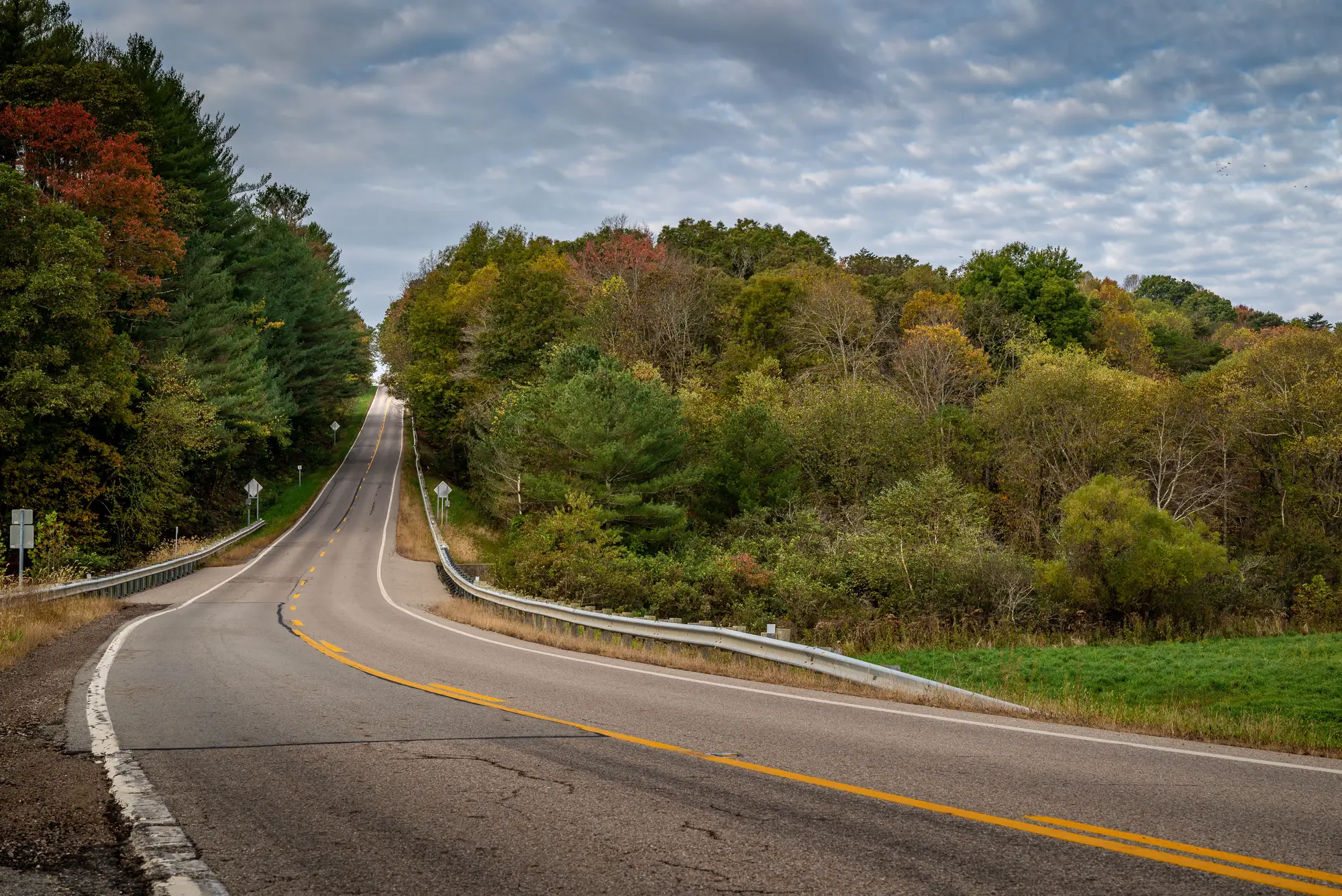 A two-lane road curving up a wooded grade, cracked asphalt in the foreground and trees crowding both shoulders